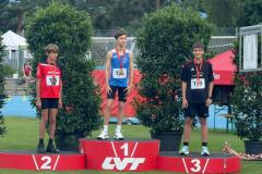 Podest-Lionel-Bronze